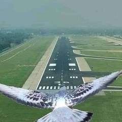 Хуршед Уразов, 30.06.1988, Душанбе