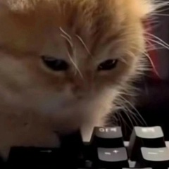 Евгений Алексеев