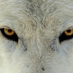 Рустем Дуйсенбаев, 12.04.1992