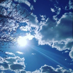 Абдулла Баудинов, 21.06, Грозный