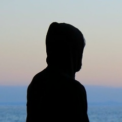 Яков Далин, Ижевск