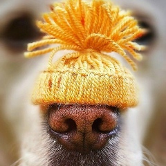 Марьям Магомадова, 06.11.1922