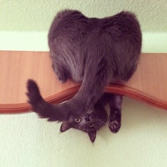 Айнура Винник, 14.08, Алматы