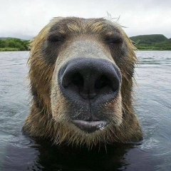 Александр Огарков, 17.04.1990, Тамбов