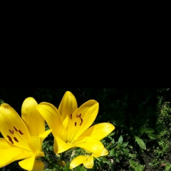 Светлана Севостьянова, 12.10, Люберцы