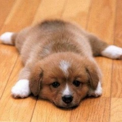 Ленар Рафиков, 01.02, Москва