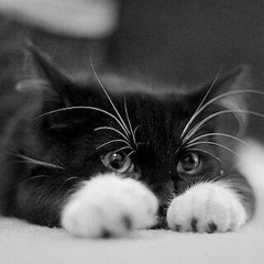 Мурад Болатов, 26.01, Махачкала