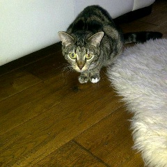 Анечка Лебедева, 29.01