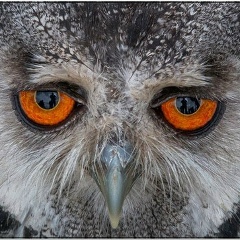 Алексей Красильников, 17.04.1988, Астрахань