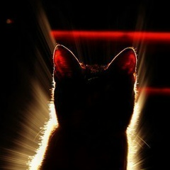 Катерина Иванова, Москва