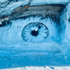 Ольга Панова, Санкт-Петербург