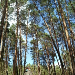 Elvira Voshkarina, 20.09.1986