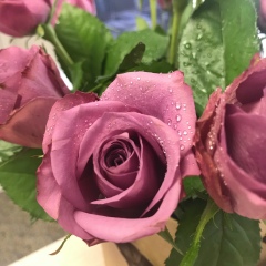 Татьяна Горная, 11.03, Москва