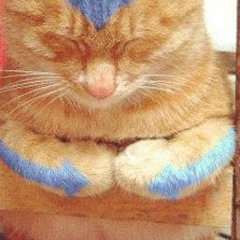 Даша Казанцева, 23.05, Москва