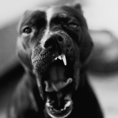 Баха Нурмагамбетов, 15.07