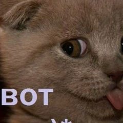 Лилия Чернова(Коваленко), 25.11.1984, Таганрог