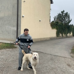 Вовчик Арутюнян, 05.10, Ростов-на-Дону