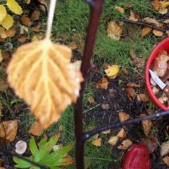 Ann Demdov, 22.11.1983