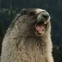 Александр Буканов, 01.04.1989, Брянск