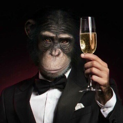 Кирилл Мамедов, 08.03.1988, Алматы