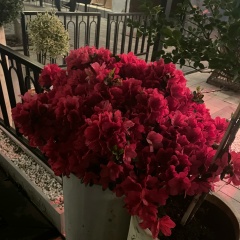 Лейсан Тимарова, 03.05.1989, Казань