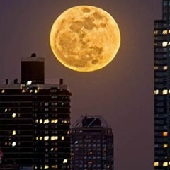 Айбар Жолдасбаев, 12.01.1991, Москва