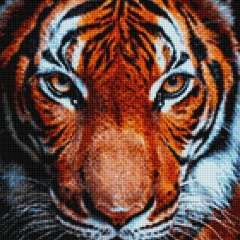 Аня Емельянова, 23.10, Москва