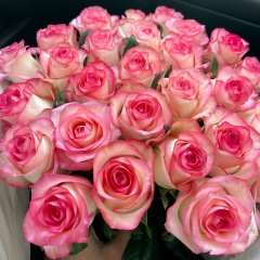 Эллен Варданян, 10.02