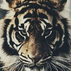 Ибрагим Шаптукаев, 19.01.2001, Чечен-Аул