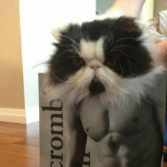 Никита Россаднев, 23.04.1997, Караганда