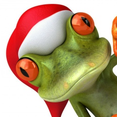 Алиса Мищенко, 03.08, La Ceiba