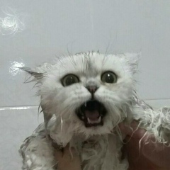 Дима Зюзя, Минск