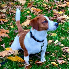 Надежда Евсикова, 18.01.1975, Москва