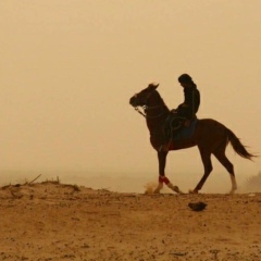 Bekarys Okasov, 09.08