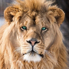 Темирлан Ергешбаев, 18.08