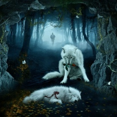 Али Алиев, 09.05, Алматы