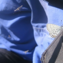 Александр Белоглазов, 24.02.1986, Первоуральск