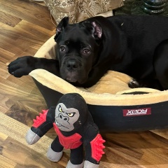 Ирина Маслова, 10.08, Москва