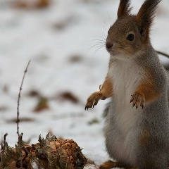 Андрей Неверов, 22.08.1987, Санкт-Петербург