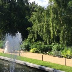 Карина Монакова, 21.12, Москва