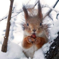 Anna Halilulina, 07.12.1983, Москва