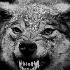 Тілеген Аукешов, 25.04.1996, Караганда