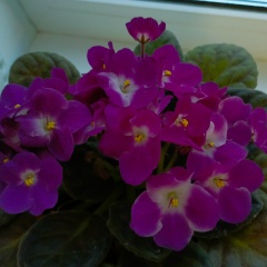 Венера Гараева, 23.04