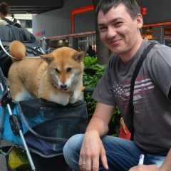 Дмитрий Пономаренко, Волжский