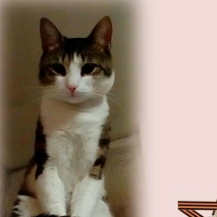 Евгения Тимофеева, 31.12.1983