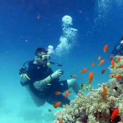 Роман Толстов, 22.11.1980, Санкт-Петербург