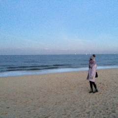 Амина Дибирова, 11.11, Москва