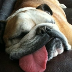 Андрей Крамаренко, 26.09, Кривой Рог