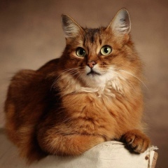 Сергей Щербаков, 02.12.1979