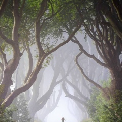 Vladimir Iskakov, Barrie